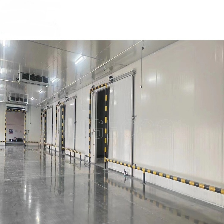 Best selling commercial fish cold room price for vegetables cold storage panel cool/ cold room for sale