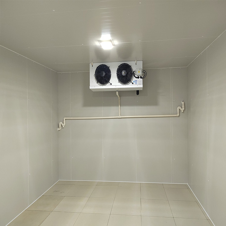 Low Temperature Freezer Room with Air Cooling Refrigeration