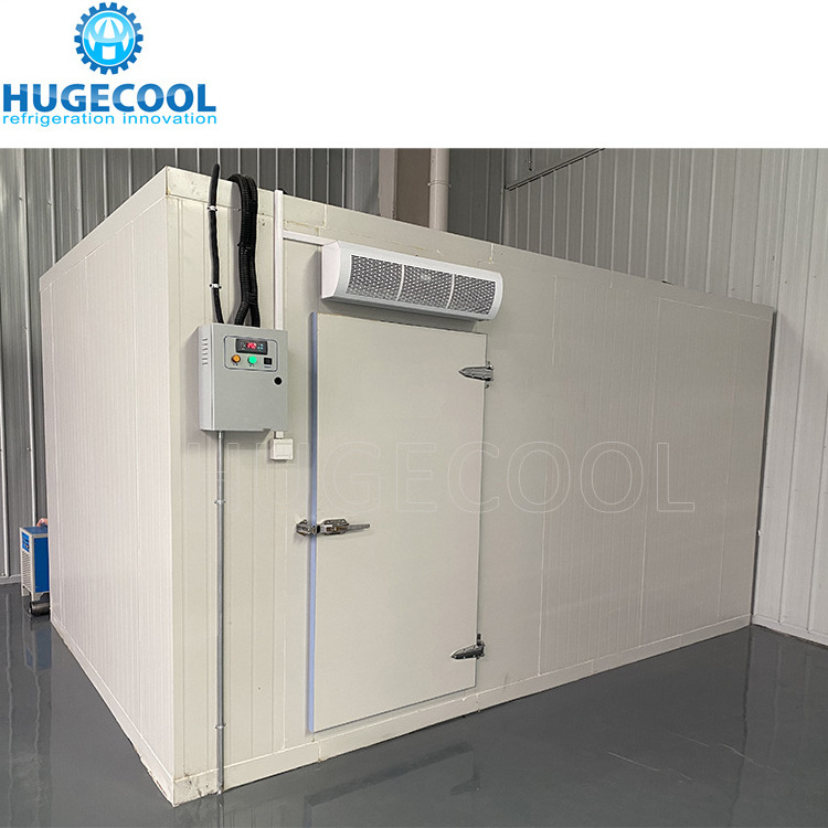 high efficiency hinged door cold room good insulation long lifetime