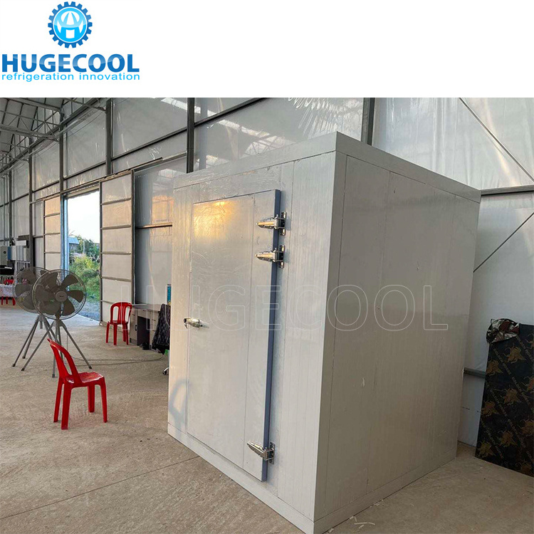 Cold storage room door hinged  sliding door for walkin coolers