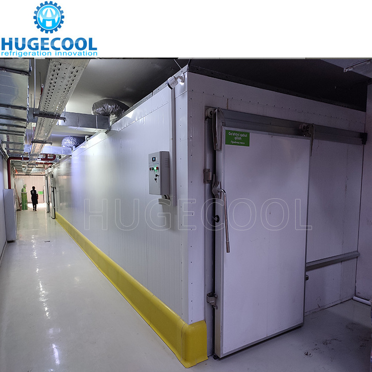 Commercial factory  cold storage freezing blast freezer room for potato meat, fish, chicken, seafood with refrigeration unit