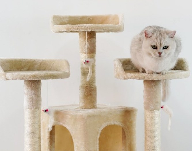 Relipet RL2066 Large Pet Condo Luxury Furniture 170 cm Cat Tree Wholesale Cat Scratch Post Tree