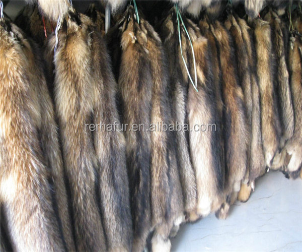 Natural Raccoon fur skins real Raccoon dog fur hide pelts high quality Chinese raccoon fur for hood