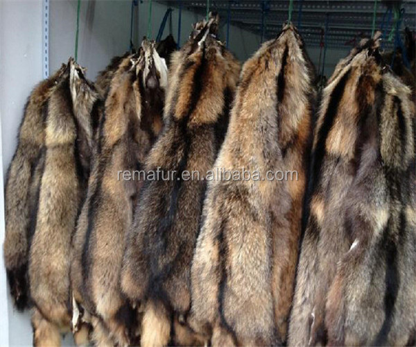 Natural Raccoon fur skins real Raccoon dog fur hide pelts high quality Chinese raccoon fur for hood