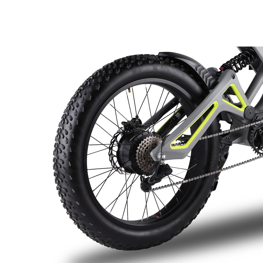 Factory Direct 24 Inch 52V 1200W Motor Electric Bicycle 750 Powerful Mountain Electric Bike Fat Tire Electric Bicycle Kids