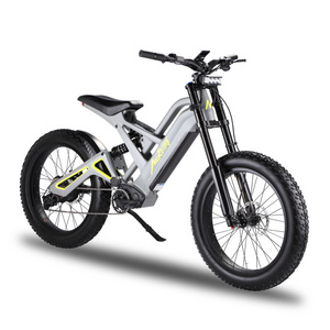 Strong Power 24 Inch Dual Motor Electric Hybrid Bike 20Ah 2 Wheel Tricycles Electric Bike Kit 3000W 1200W Electric Mountain Bike