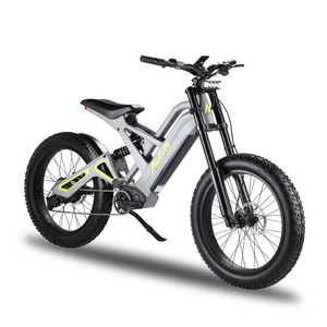 Mukuta Knight 1200W Powerful 24 Inch 52V Lithium Folding Mountain E Bikes 2022 Electric Bicycle Fat Tire 500W Electric Bicycle