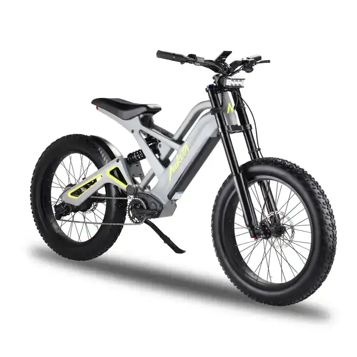 Factory Direct 24 Inch 52V 1200W Motor Electric Bicycle 750 Powerful Mountain Electric Bike Fat Tire Electric Bicycle Kids