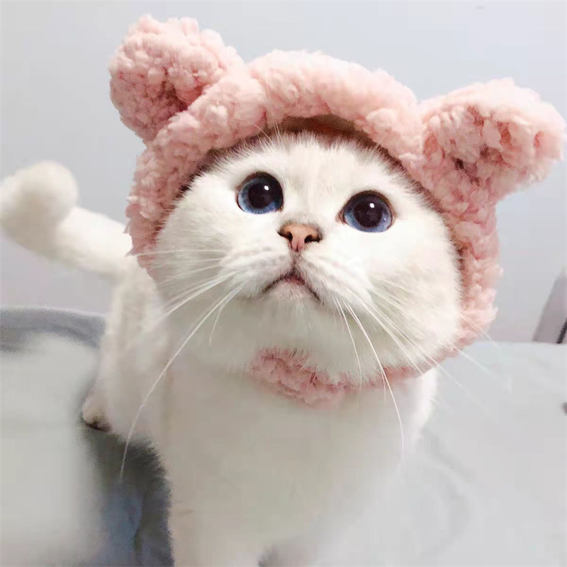 Manufacturer wholesale cute design plush small dog pet cat hat