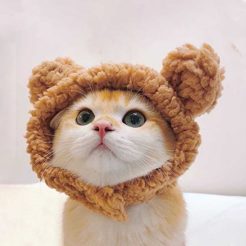 Manufacturer wholesale cute design plush small dog pet cat hat