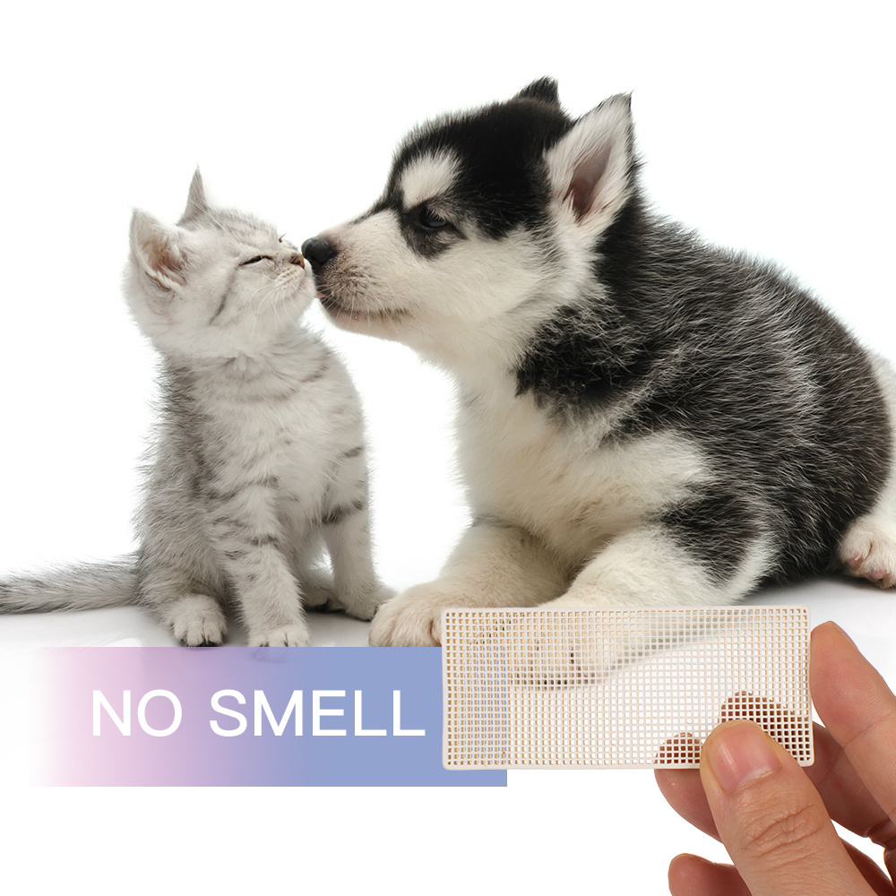 wholesale manufacturer durable one year deodorization and sterilization pet cat deodorant