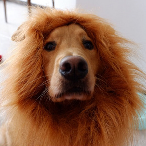 Manufacturer Wholesale Pet Wig Lion Mane Costume For Small Large Dogs Festival Party Fancy Hair Dog Clothes