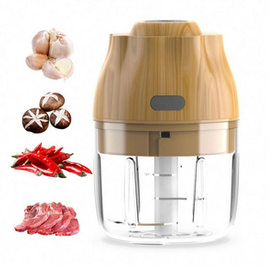 Dropshipping Electric Mini Garlic Chopper Mincer with USB Charging,Powerful Blender for Onion, Grinder,Salad