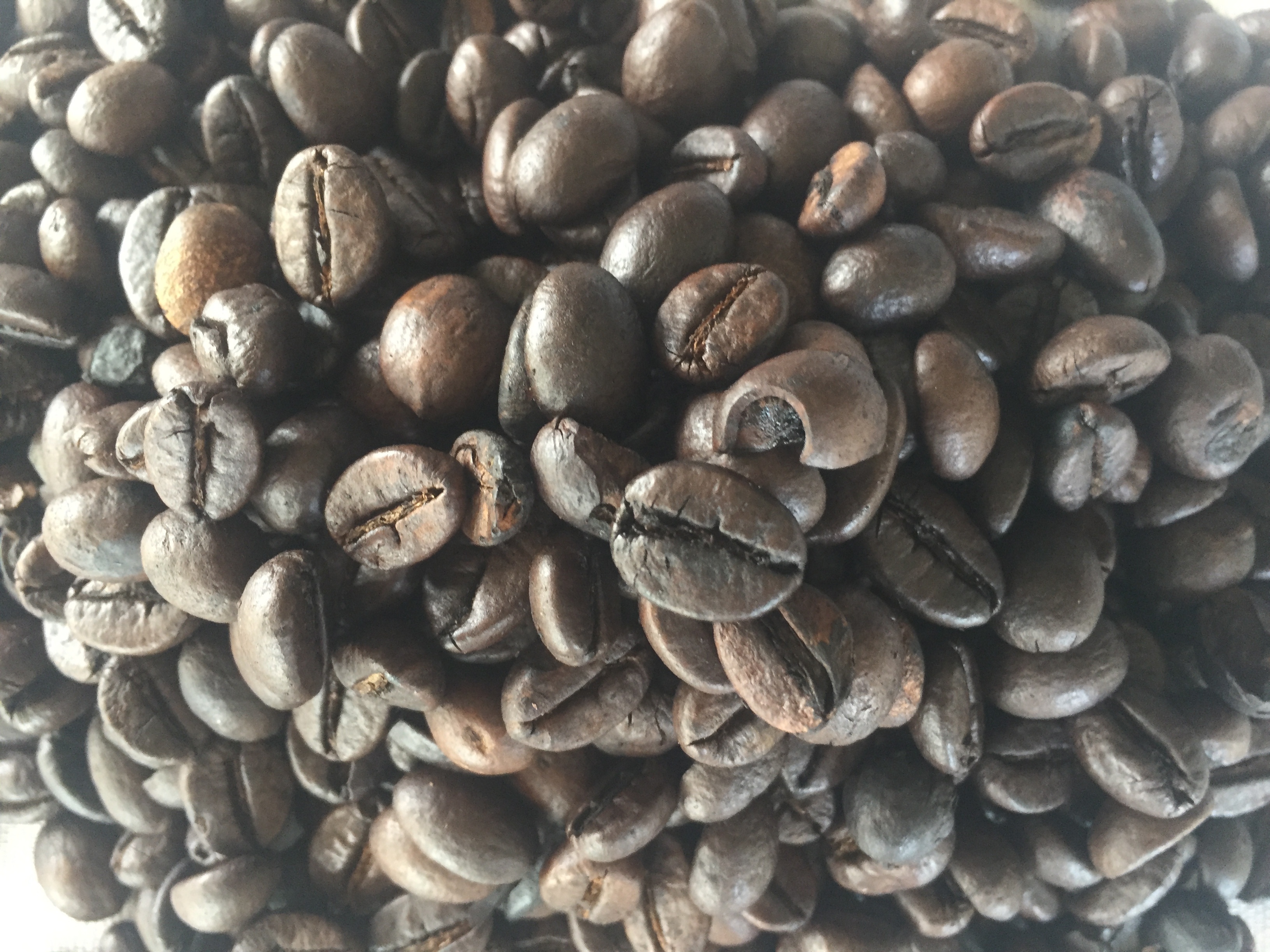 ROBUSTA ROASTED COFFEE BEANS SERUNAI100% Natural Hot Selling Indonesian Best Quality with Reasonable Best Price