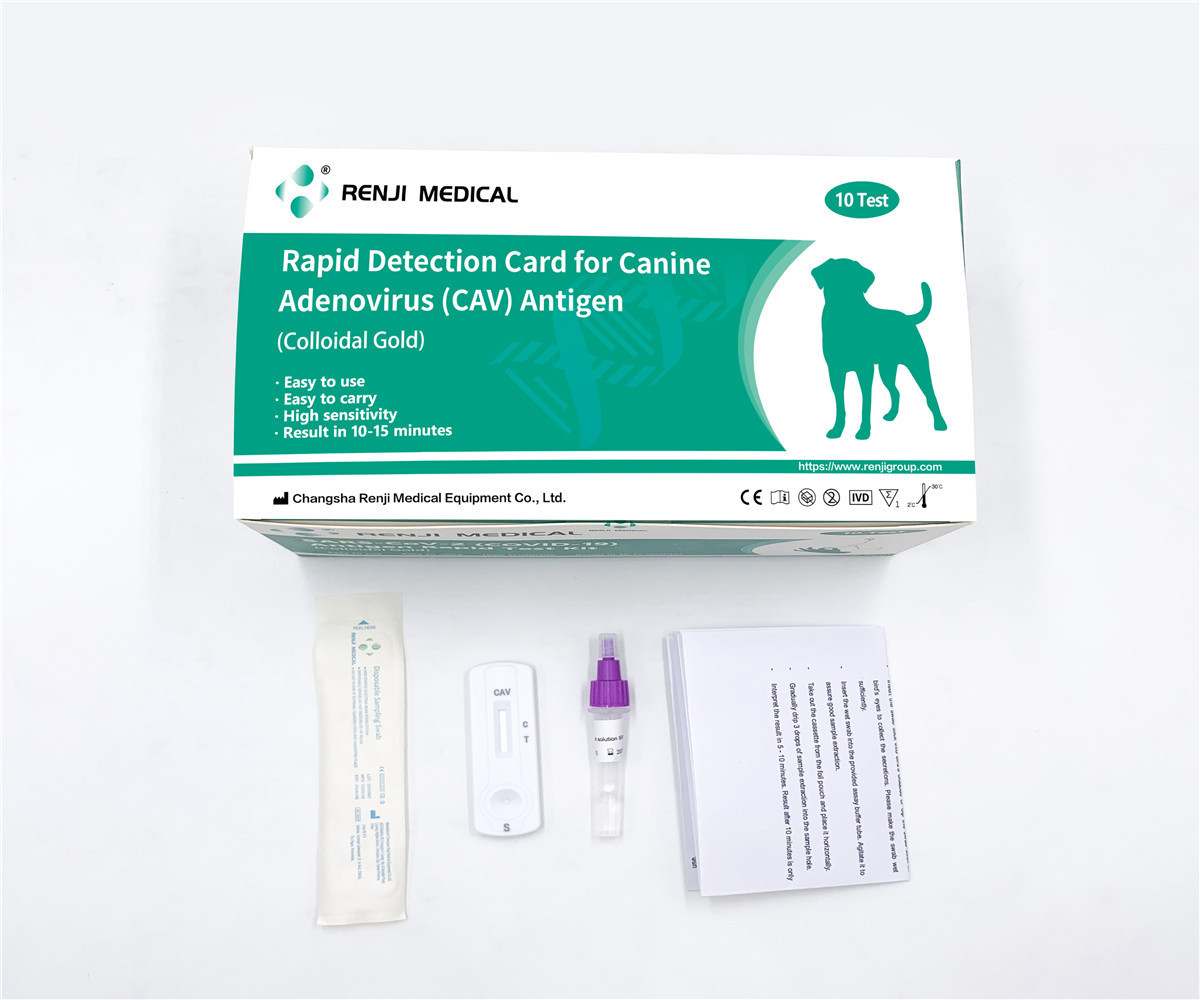 Canine Adenovirus Antigen Rapid Detection Card CAV Rapid Test Kit