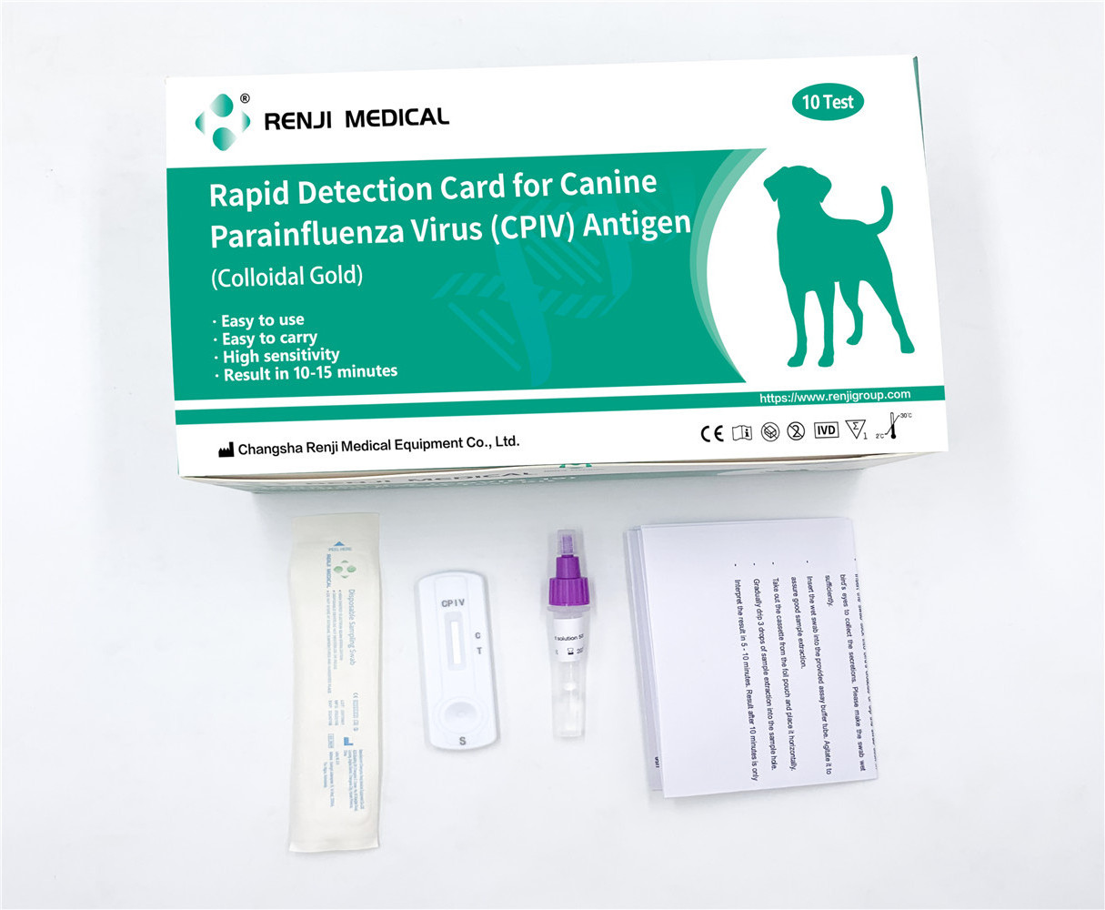 Canine Adenovirus Antigen Rapid Detection Card CAV Rapid Test Kit