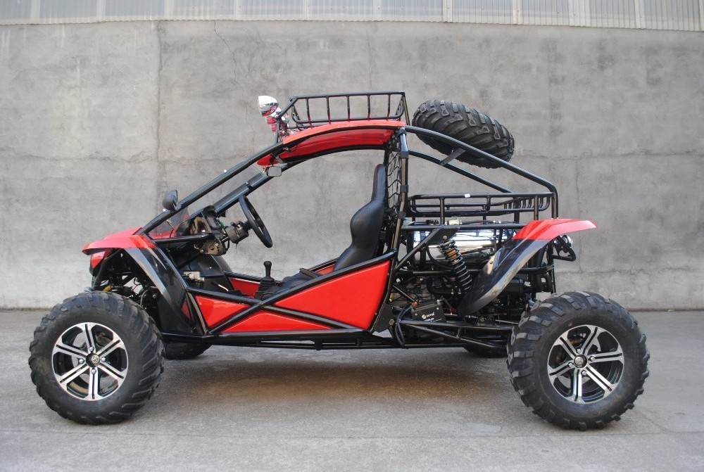 Renli EEC4 Racing Two Seats Cheap Adult Go Karts Offroad Dune Buggy 4x4 1100cc