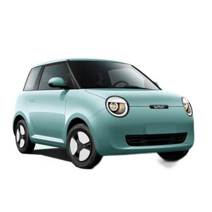 New Micro Energy Cars For Sale Changan Lumin Mini Electric Car From China