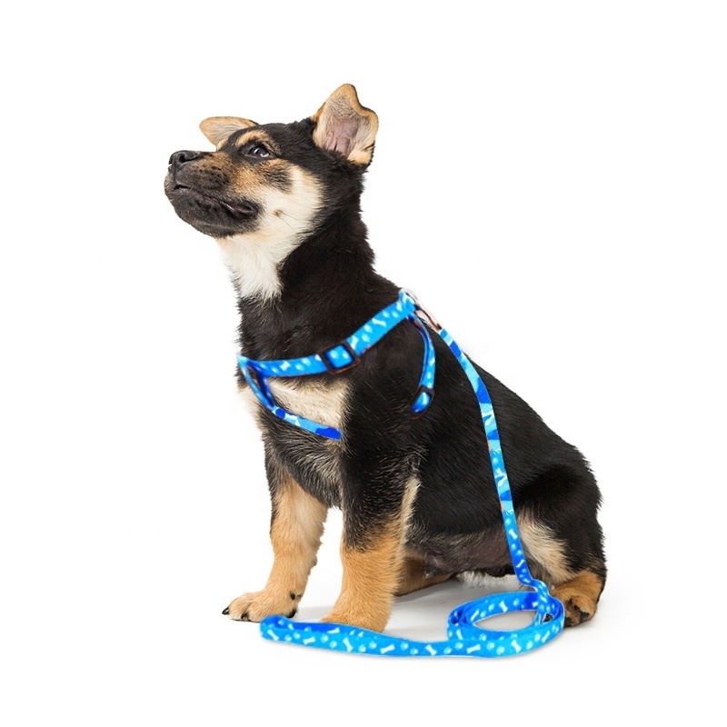 Adjustable Pet Harness Leashes Puppy Collar for Small Dogs Harness Pet Designer Dog Collar Leash Wholesale Dog Accessories