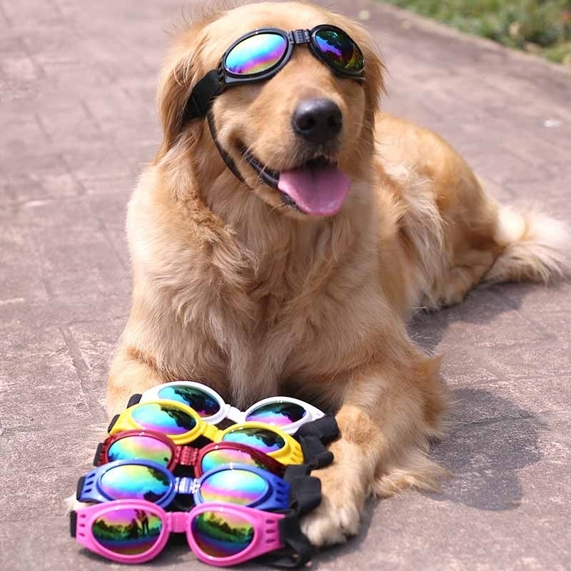 Fashion Pet Dog Glasses Prevent UV Pet Glasses For Cats Dog Sunglasses Reflection Eye Wear Dog Gifts Outdoor Pet Accessories