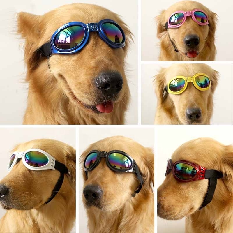 Fashion Pet Dog Glasses Prevent UV Pet Glasses For Cats Dog Sunglasses Reflection Eye Wear Dog Gifts Outdoor Pet Accessories