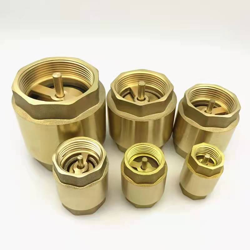 wholesale Vertical check valve spring  copper  brass check valve 1/4 1/2 3/4 1 2 inch