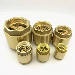 wholesale Vertical check valve spring  copper  brass check valve 1/4 1/2 3/4 1 2 inch