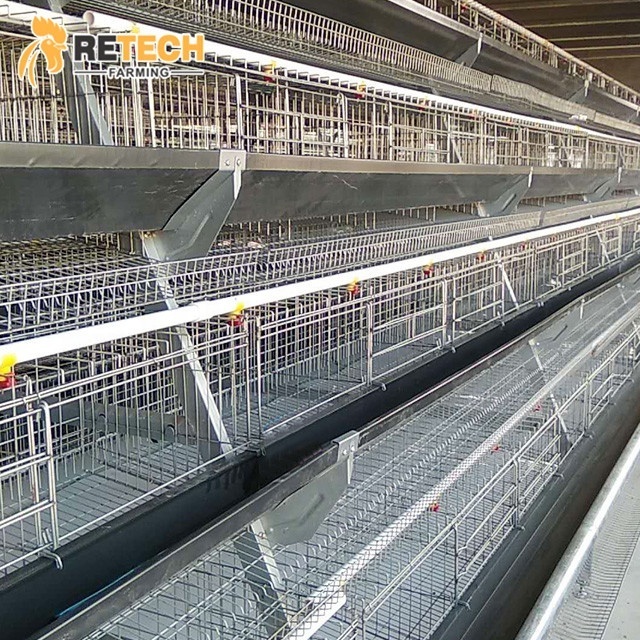 Semi Automatic Chicken Raising Equipment Laying Hens Cage System for poultry farm