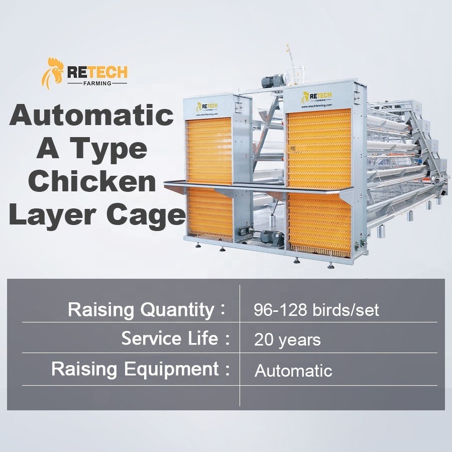 A Type Battery Layer Chicken Cages Automatic Egg Poultry Farming Equipment System