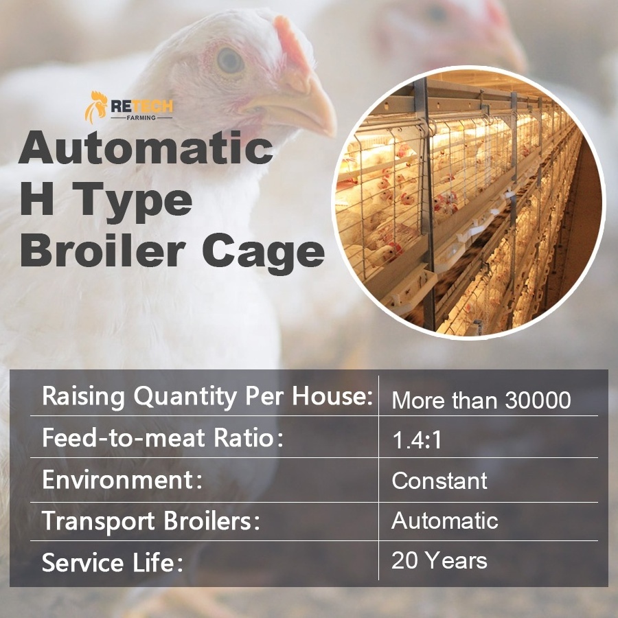 Poultry Farm H Type Automatic Bird Harvesting Battery Breeding Cages For Broiler Chicken