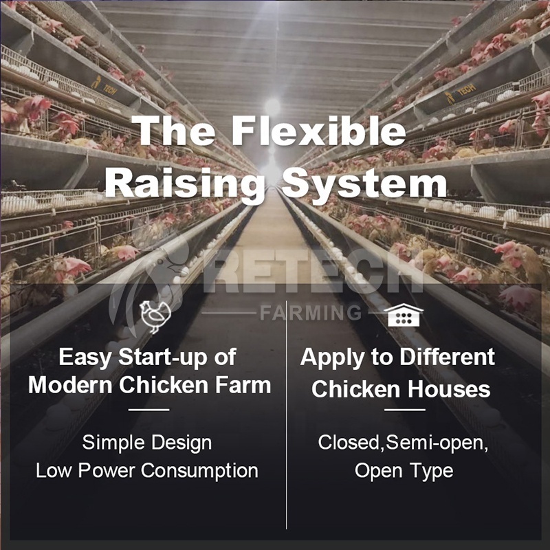 A Type Battery Layer Chicken Cages Automatic Egg Poultry Farming Equipment System