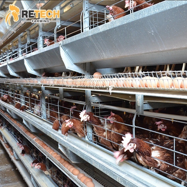 Layer Chicken Farming Poultry Equipment Manufacturers Battery Chicken Cages