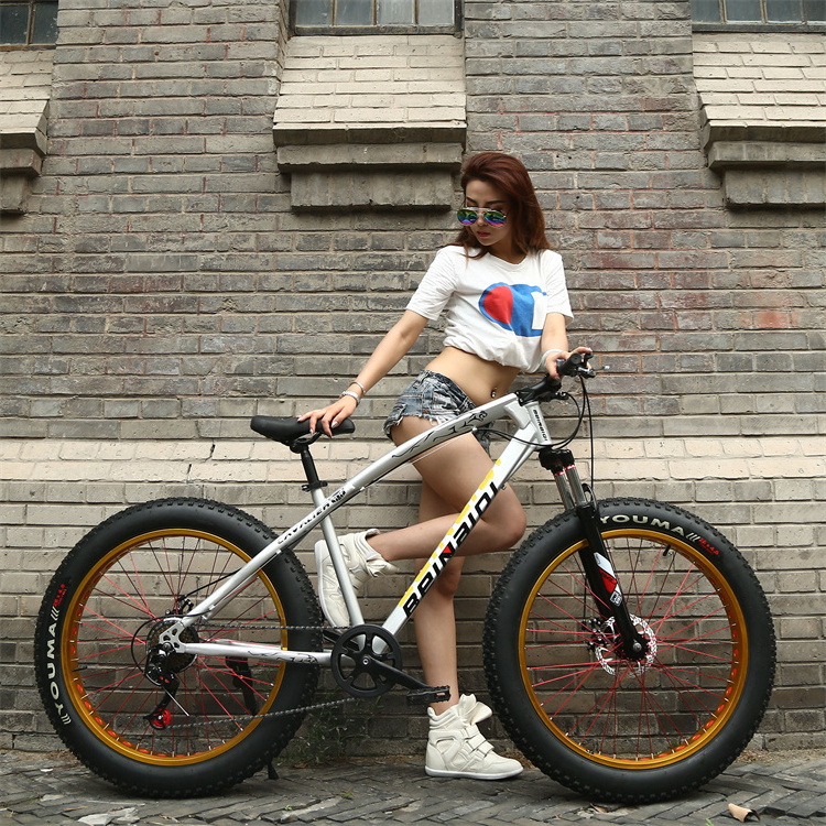 Customized low price 24 speed 26 inch steel mtb snow bike bicycle fat mountain bike