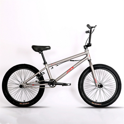 Aluminum Bmx 20 Inch Racing Bicycle Fat Tire Bike Freestyle Cycle Bmx Bike On Sale