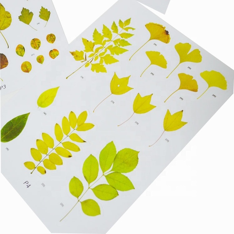 Fallen Leaves Static Cling Window Stickers