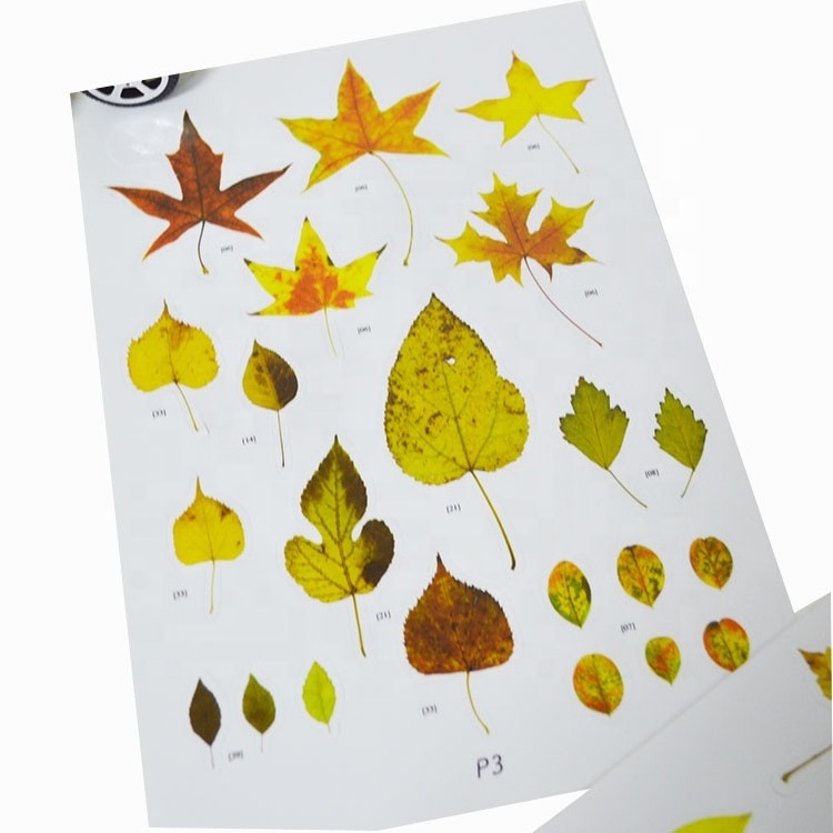 Fallen Leaves Static Cling Window Stickers