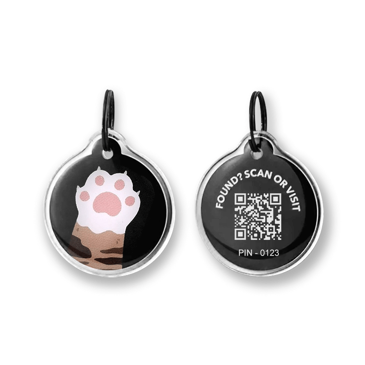 Smart NFC NTAG213 Metal Epoxy Qr Code Pet Dog Id  Keychain Tag