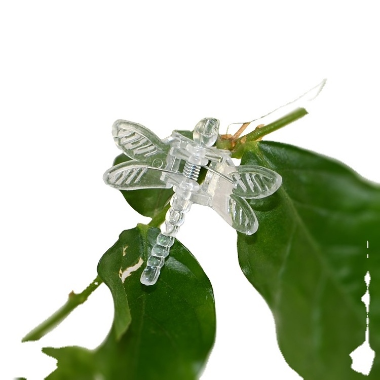 Plastic butterfly /dragonfly clips /flower claw clip Gardening Plant Orchid Clip