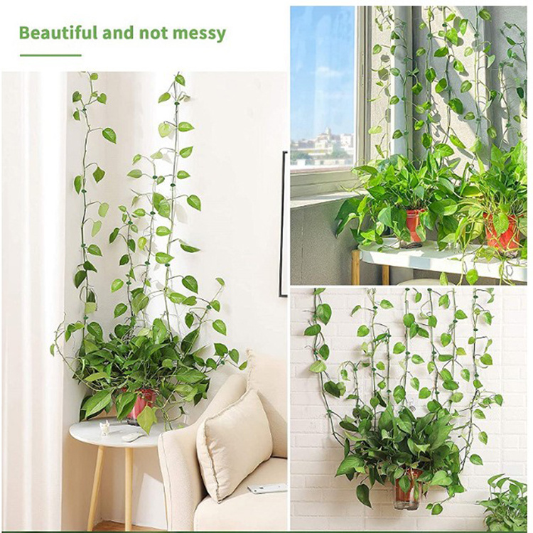 Garden Plant Climbing Wall Leaf Clip Self Adhesive Fixture Rattan Vine Fixed Buckle  plastic plant clips for climbing wall plant