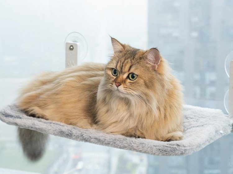 45 * 30 cm Cat Window bed better quality for Cat Hanging Hammock Pet Hammock Cat Bed for Window and wall