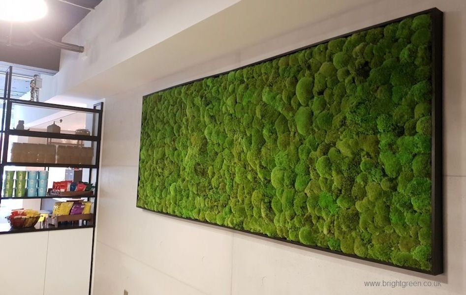 Preserved Moss Flat Moss Stabilized Plants Moss Decoration Grass Wall Decoration for Hotels Restaurants Spas Vertical Garden G