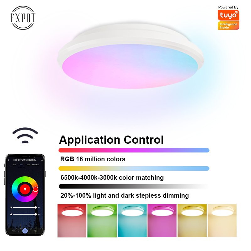 Wholesale Custom 24w Tuya round Shape 20W Dimmable Wifi Smart Voice lamp Control app rgb Smart Ceiling Light for bedroom