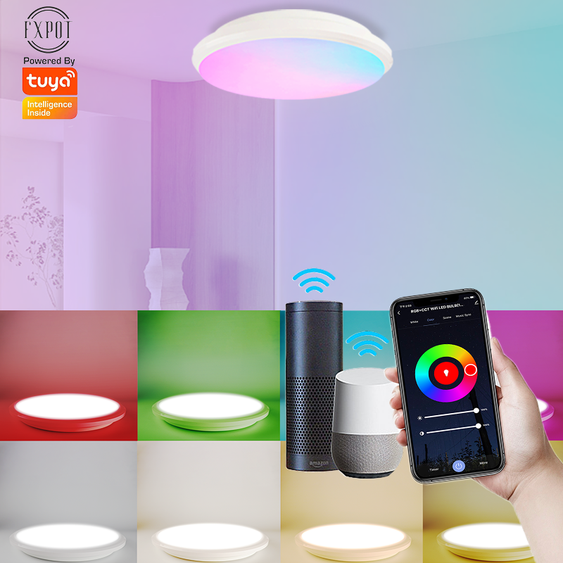 Wholesale Custom 24w Tuya round Shape 20W Dimmable Wifi Smart Voice lamp Control app rgb Smart Ceiling Light for bedroom