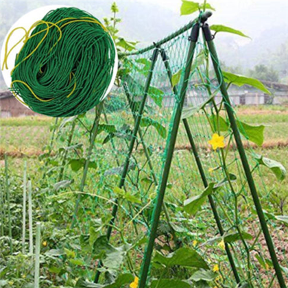 Plastic climbing plant support mesh/Gardening Net /Bean & pea/cucumber netting