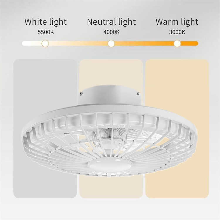 Factory Price Modern Decorative 48 Inches 30w Remote Control  Fan Lamp Fixture No Noise Ceiling Fan With Light