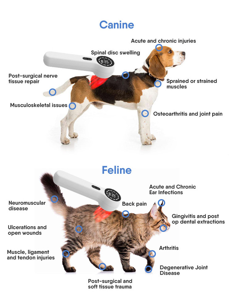 Cold Laser Therapy 650nm 808nm Veterinary Use Animals Pets Dogs Cats Injury Pain Relief Device