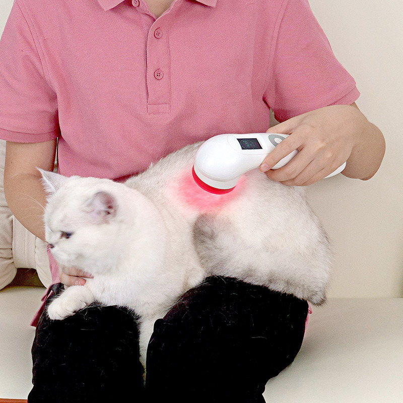 Portable 650nm 808nm 3B Laser Therapy Equipment for Home Use Physical Cold Therapy Device for Physical Therapy