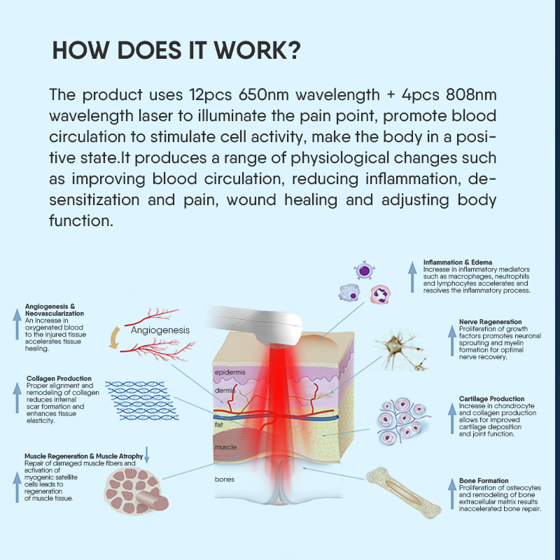 Physiotherapy Semiconductor Infrared Red Medical Laser Therapeutic Instrument for Body Pain Relief