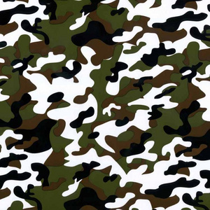 2023 Hot Selling Camouflage Hydrographic Film Liquid Image Hydro Dipping Car Parts Water Immersion Printing Film