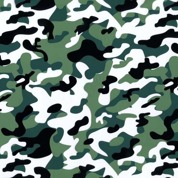 2023 Hot Selling Camouflage Hydrographic Film Liquid Image Hydro Dipping Car Parts Water Immersion Printing Film